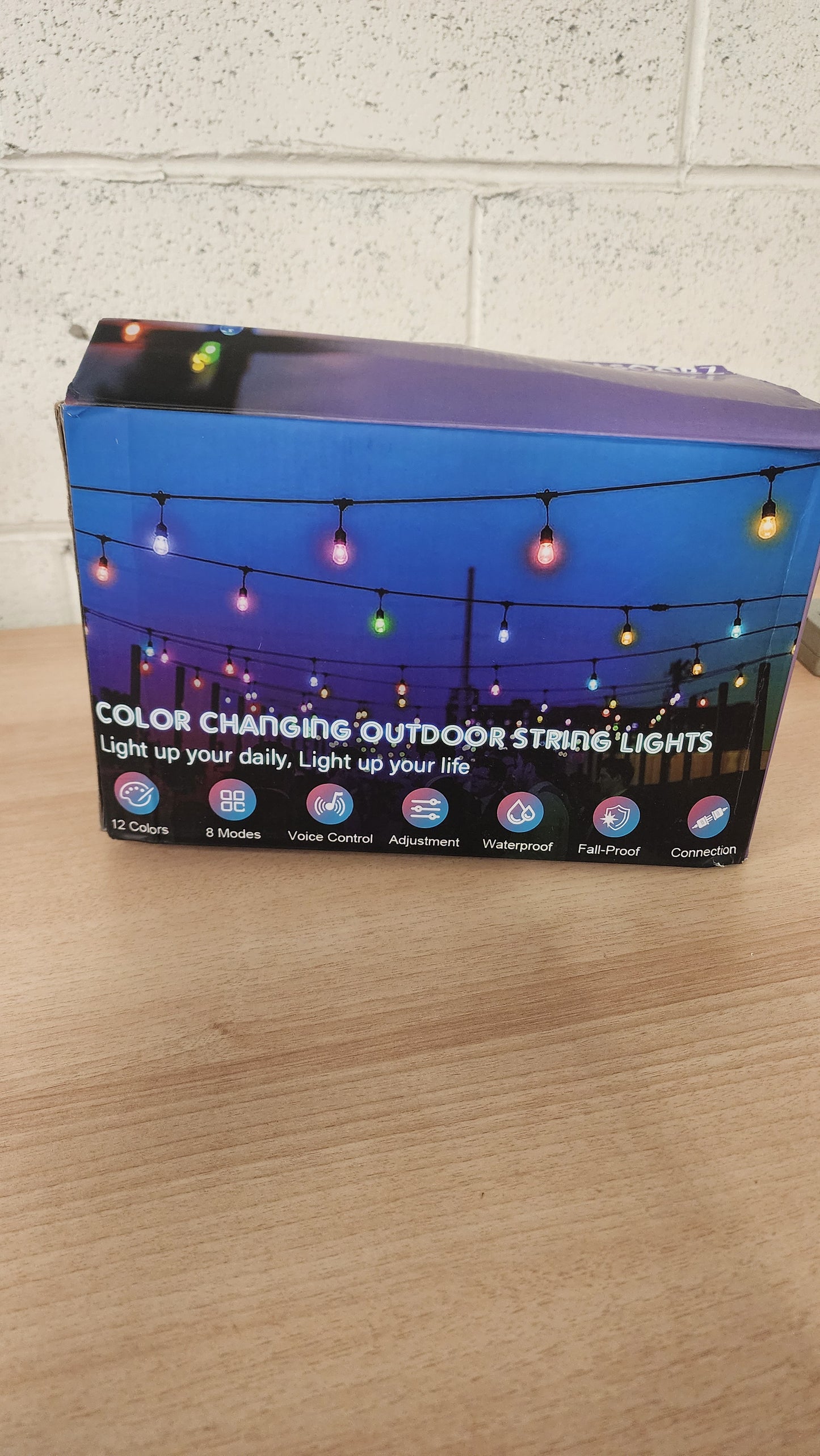 Color Changing Outdoor String Lights