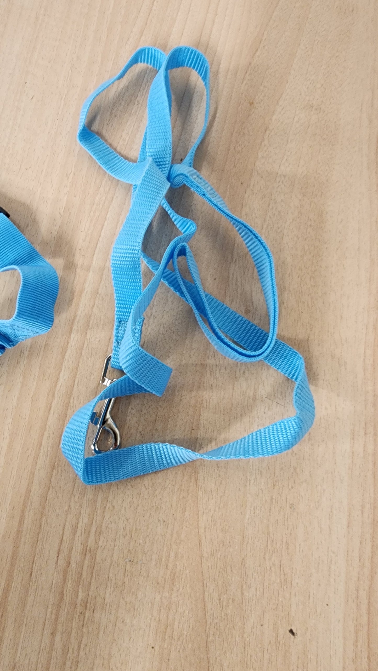 KeeKit Harness and Leash Set