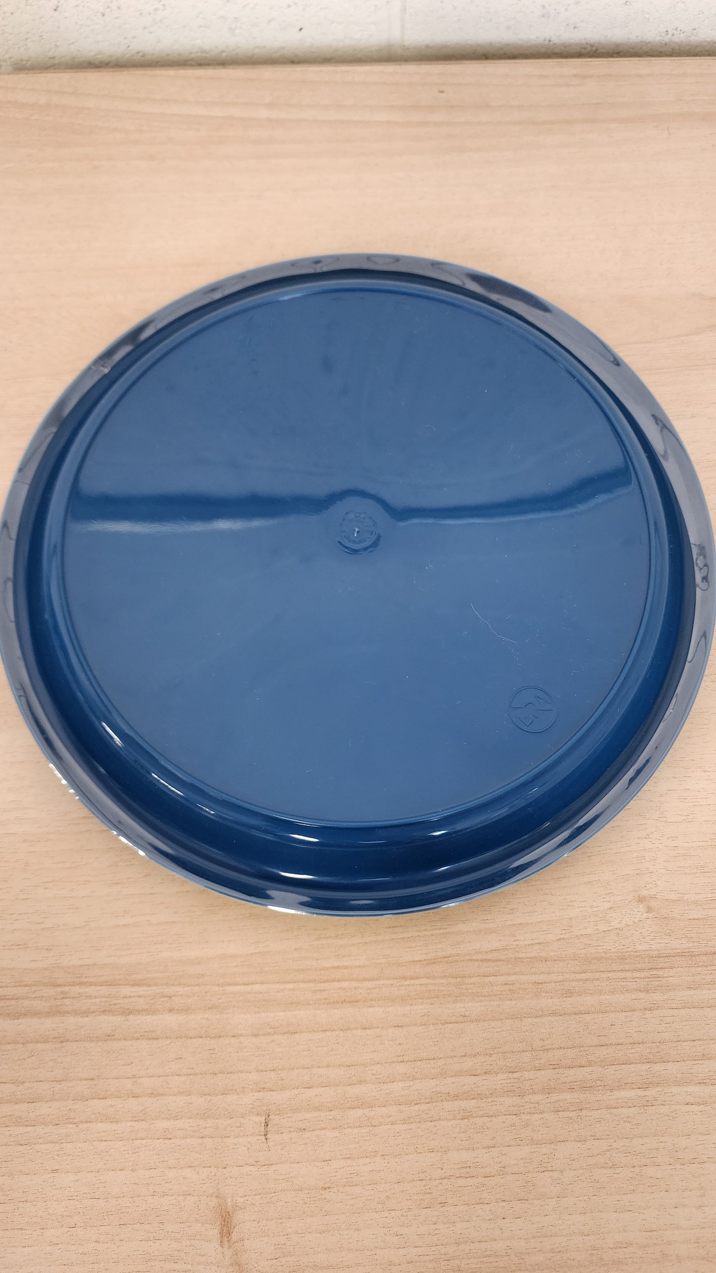 Plastic Reusable Plate Set