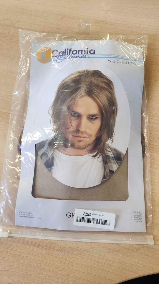 California Costumes Grunge Mens Blonde Wig